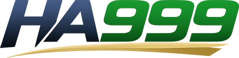 bdha999.com Logo